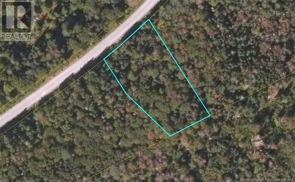 Lot Damascus Road, Smithtown, New Brunswick  E5N 3Z9 - Photo 1 - NB106388