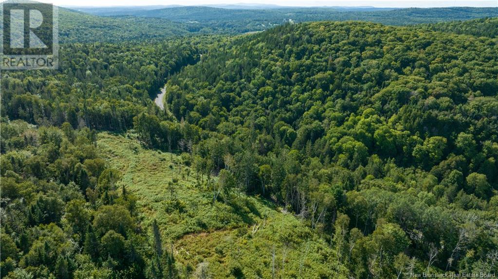 Lot Damascus Road, Smithtown, New Brunswick  E5N 3Z9 - Photo 10 - NB106388