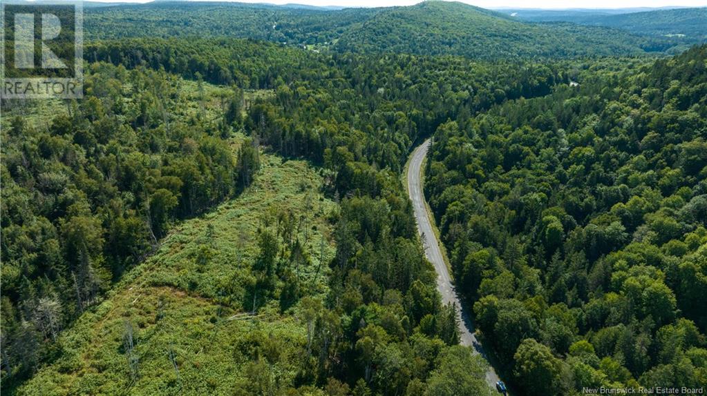 Lot Damascus Road, Smithtown, New Brunswick  E5N 3Z9 - Photo 12 - NB106388
