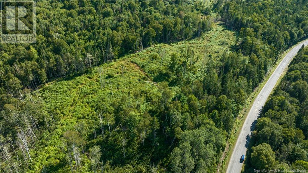 Lot Damascus Road, Smithtown, New Brunswick  E5N 3Z9 - Photo 13 - NB106388