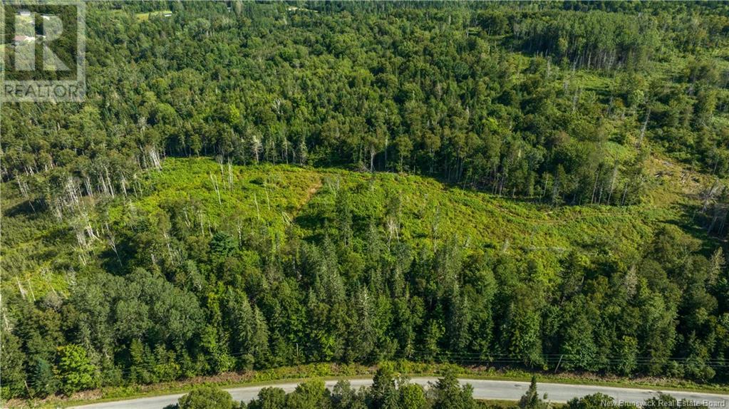 Lot Damascus Road, Smithtown, New Brunswick  E5N 3Z9 - Photo 3 - NB106388