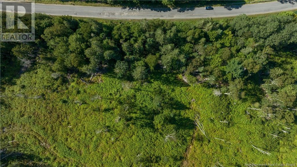 Lot Damascus Road, Smithtown, New Brunswick  E5N 3Z9 - Photo 8 - NB106388