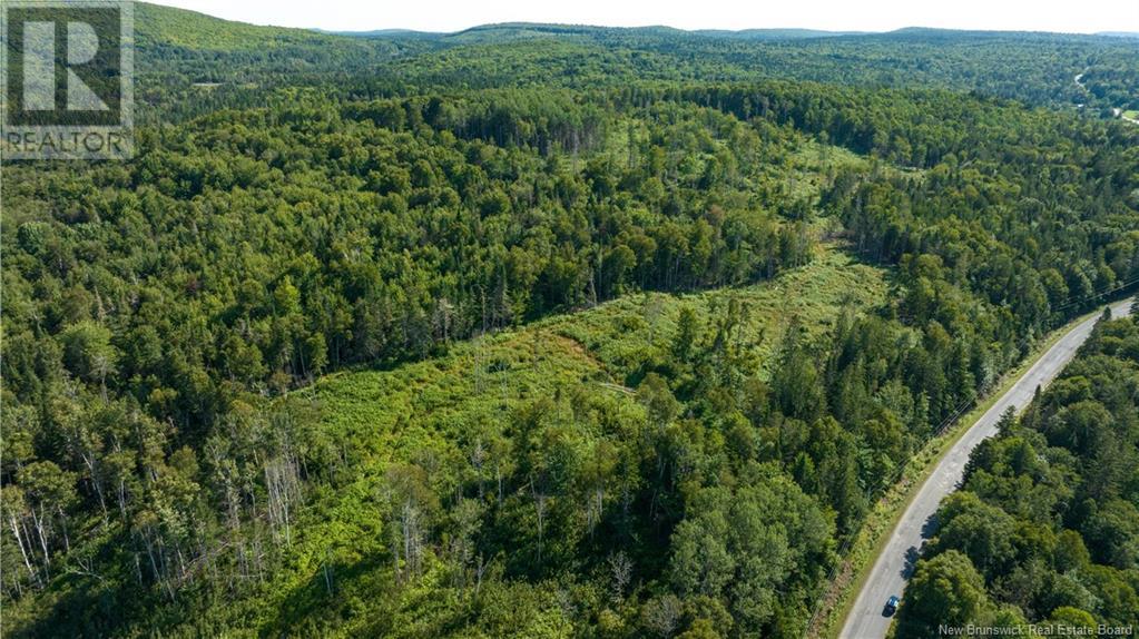 Lot Damascus Road, Smithtown, New Brunswick  E5N 3Z9 - Photo 9 - NB106388