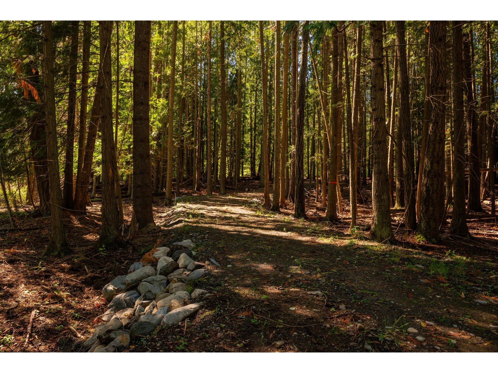 Lot B Denver Siding Road, New Denver, British Columbia  V0G 1S0 - Photo 14 - 2479385