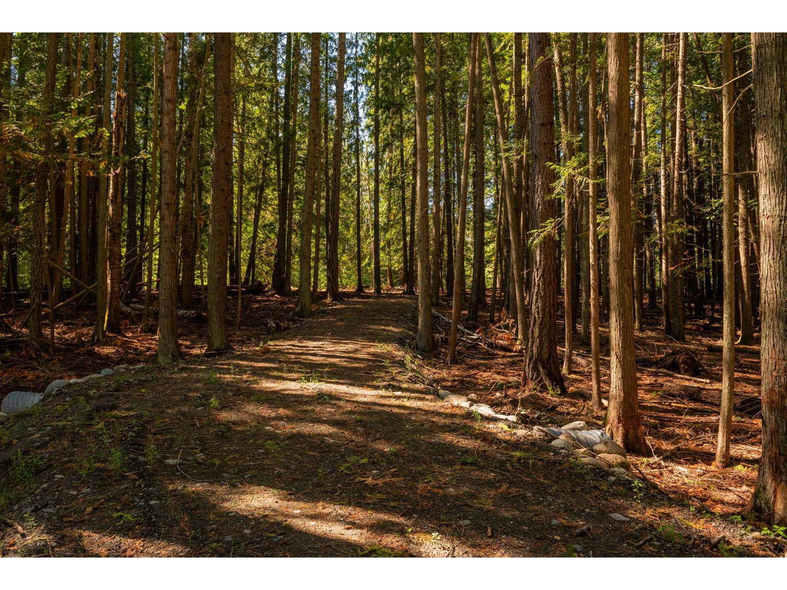 Lot B Denver Siding Road, New Denver, British Columbia  V0G 1S0 - Photo 15 - 2479385