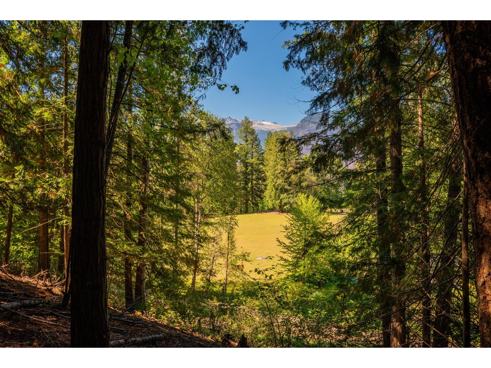 Lot B DENVER SIDING ROAD, new denver, British Columbia