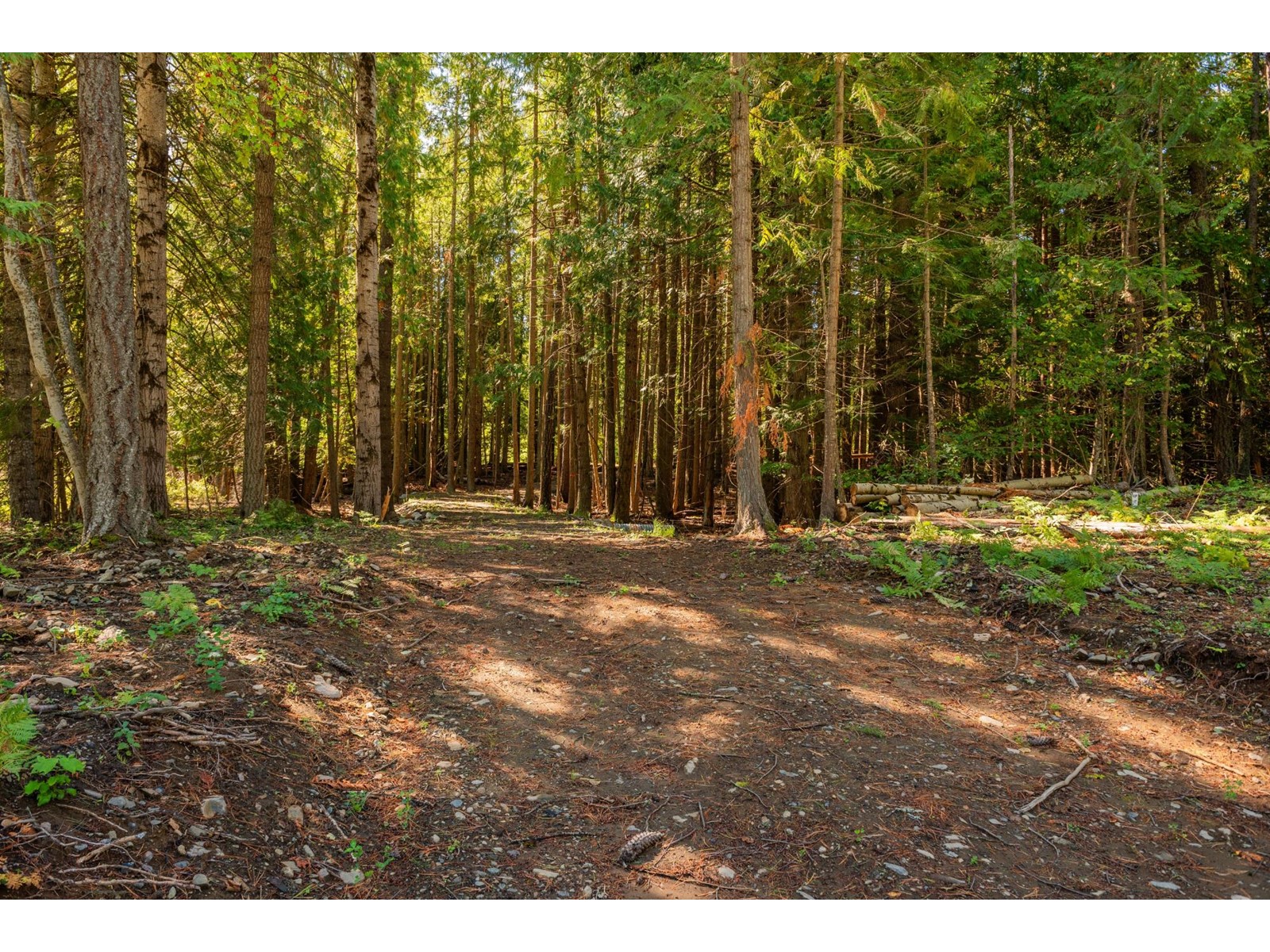 Lot B Denver Siding Road, New Denver, British Columbia  V0G 1S0 - Photo 13 - 2479385