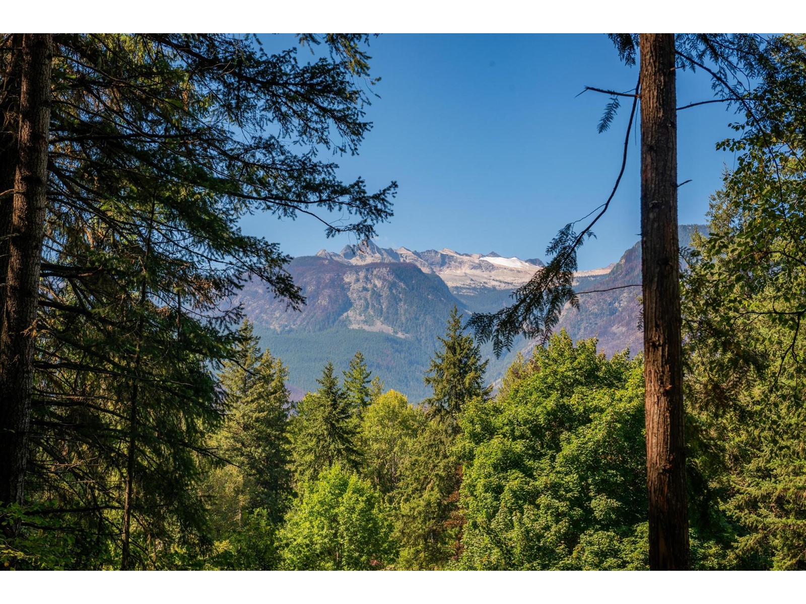 Lot A Denver Siding Road, New Denver, British Columbia  V0G 1S0 - Photo 17 - 2479386