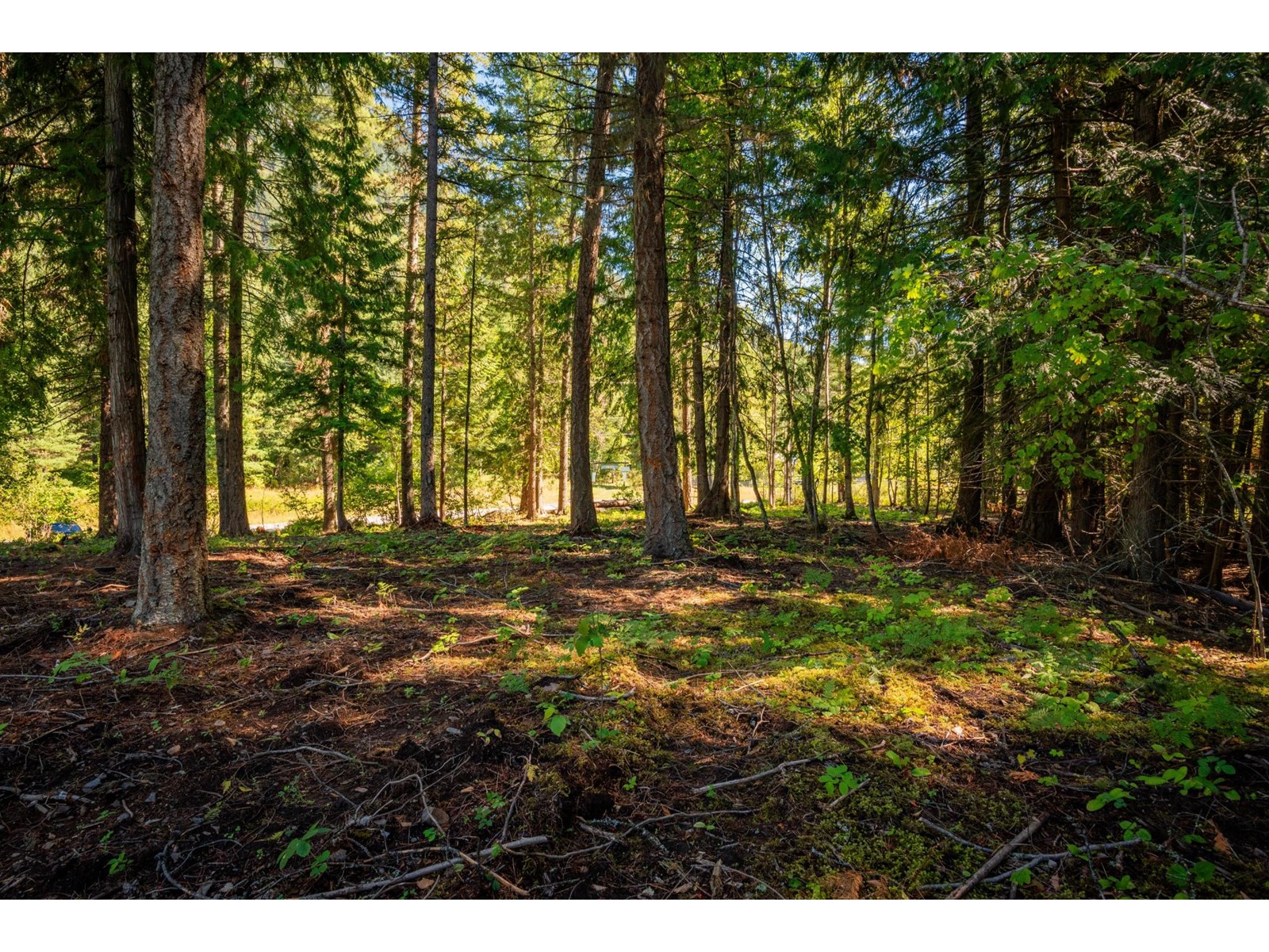 Lot A Denver Siding Road, New Denver, British Columbia  V0G 1S0 - Photo 11 - 2479386