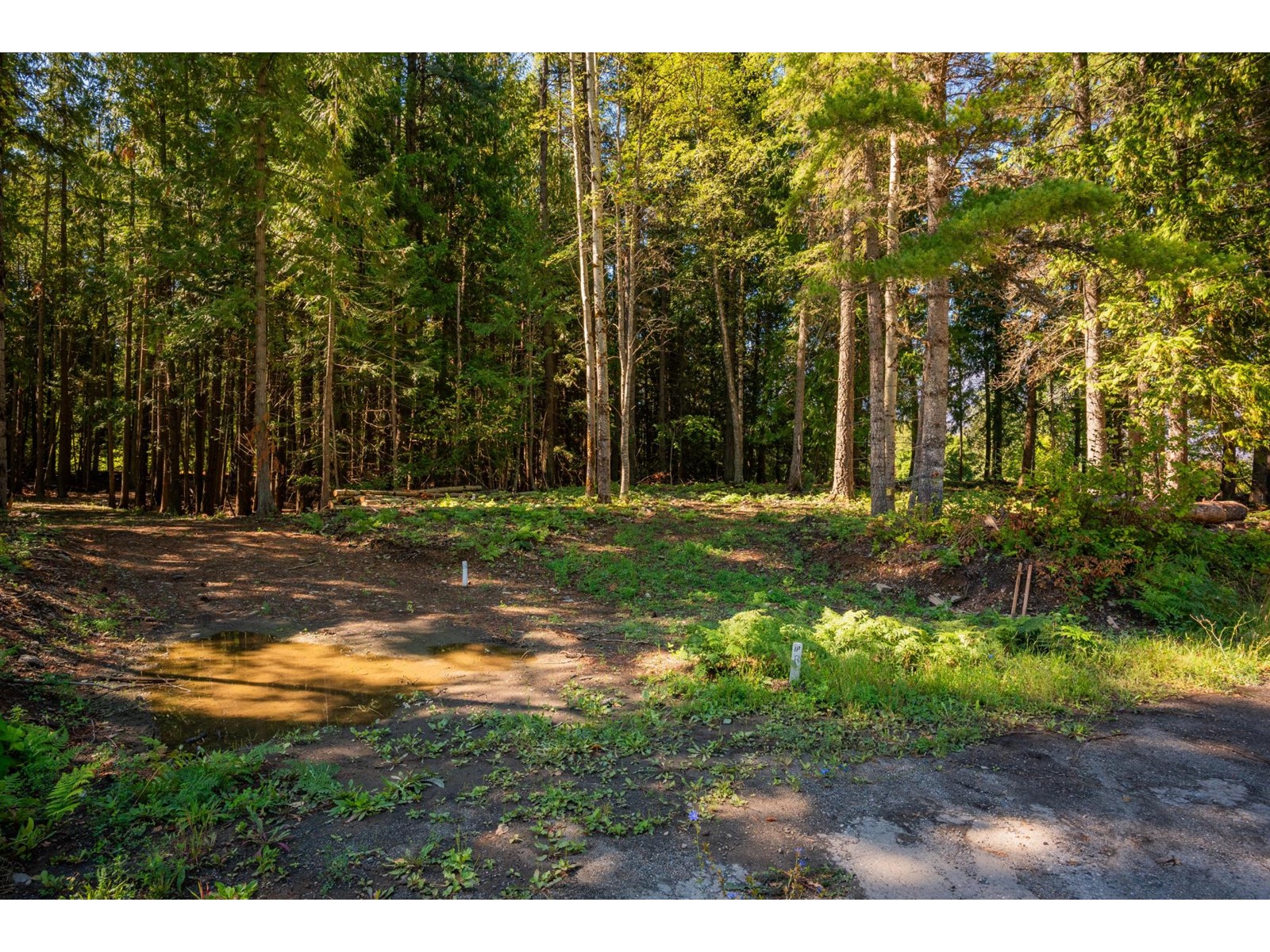 Lot A Denver Siding Road, New Denver, British Columbia  V0G 1S0 - Photo 9 - 2479386