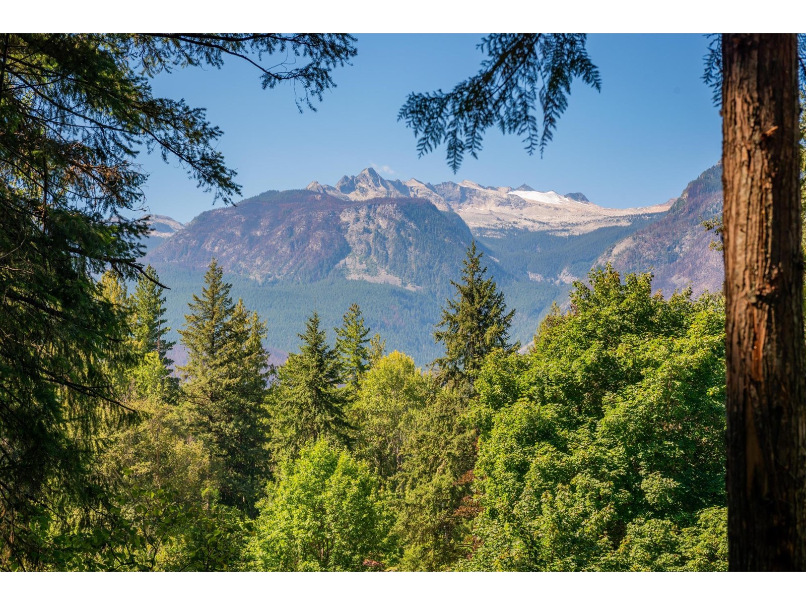 Lot A Denver Siding Road, New Denver, British Columbia  V0G 1S0 - Photo 19 - 2479386