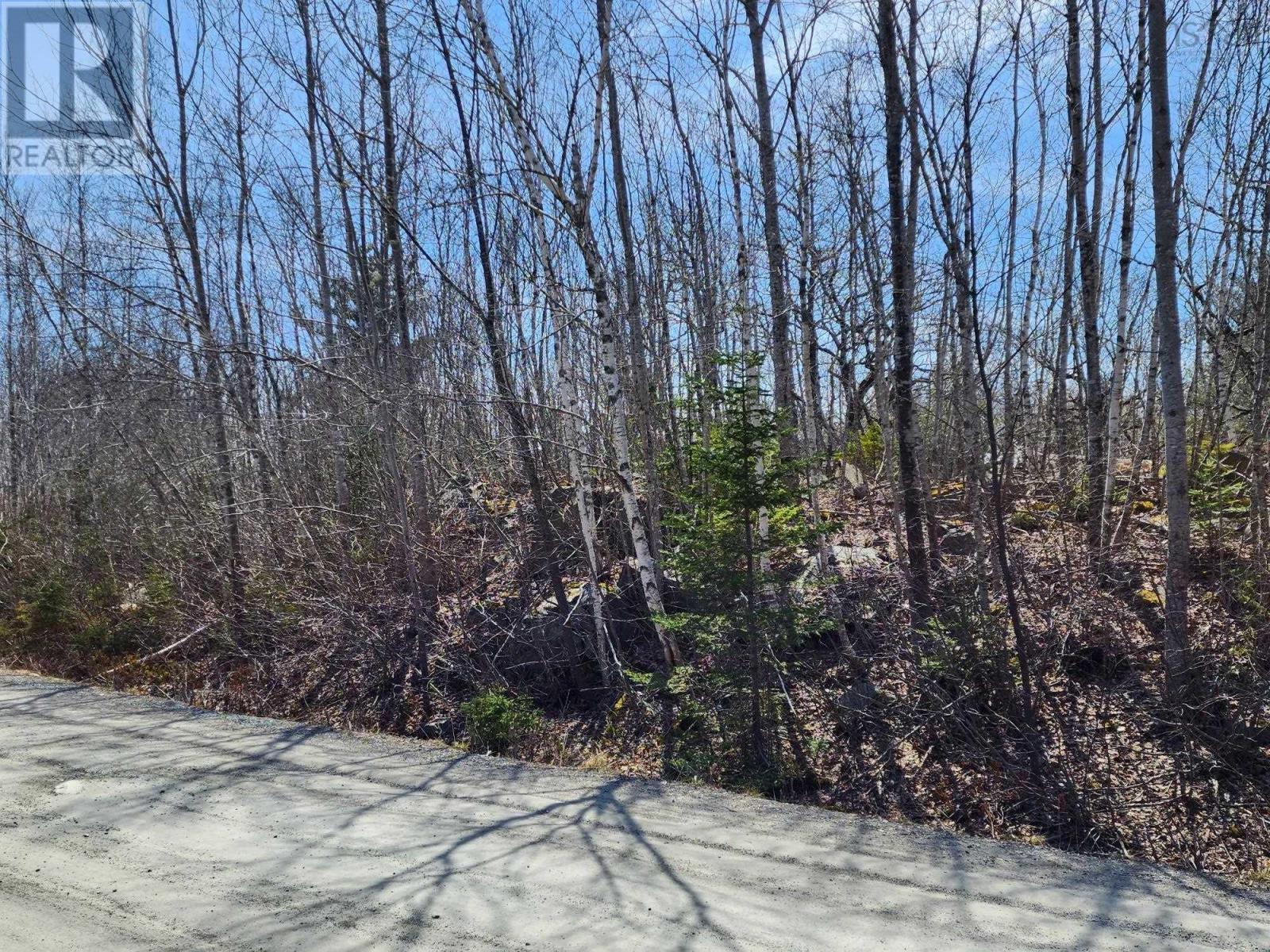 Lorem Ipsum Dolor S, Mill Village, Nova Scotia  B0J  - Photo 11 - DEMO25481699