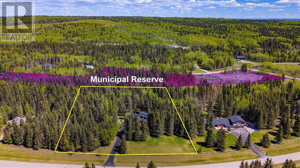 58 Mountain Lion Drive, Bragg Creek, Alberta  T0L 0K0 - Photo 4 - A2159230