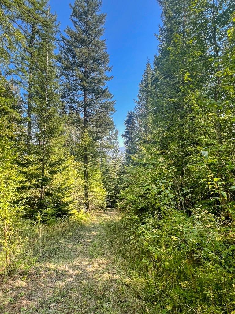 Lot 4 Evans Road, Creston, British Columbia V0B 1G7 - Photo 1 - 2479358