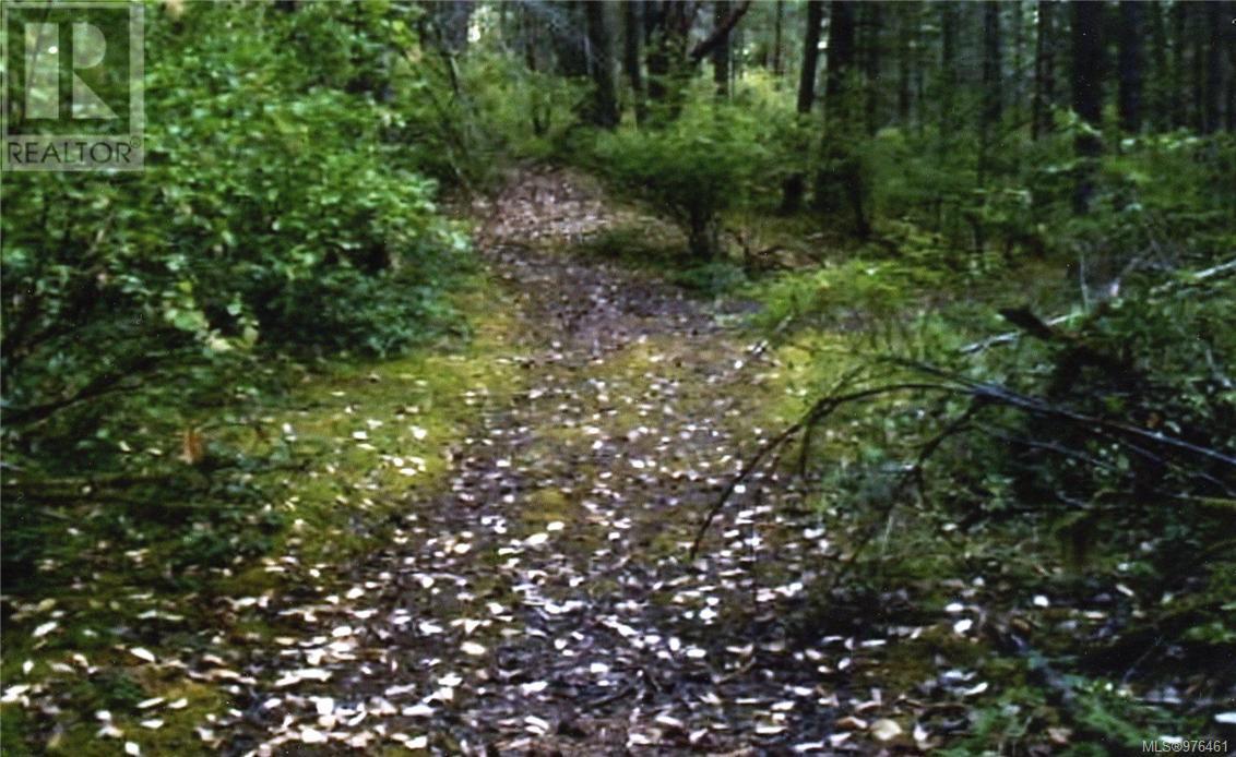 1028 Finlayson Arm Rd, Langford, British Columbia  V9E 1E4 - Photo 3 - 976461