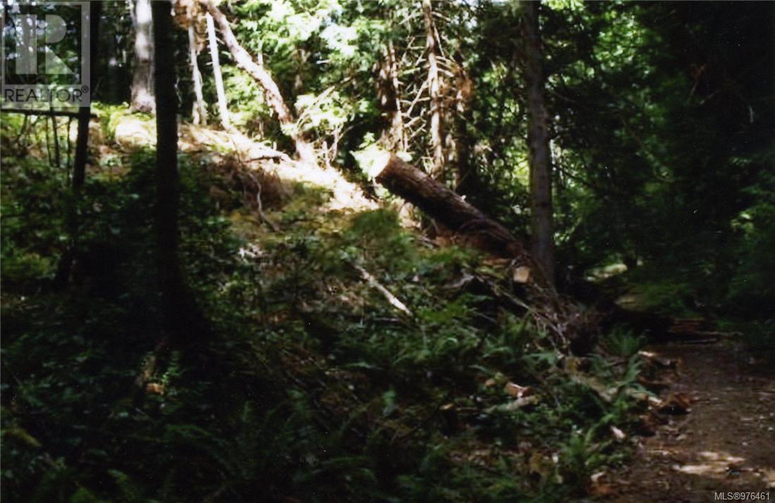 1028 Finlayson Arm Rd, Langford, British Columbia  V9E 1E4 - Photo 6 - 976461