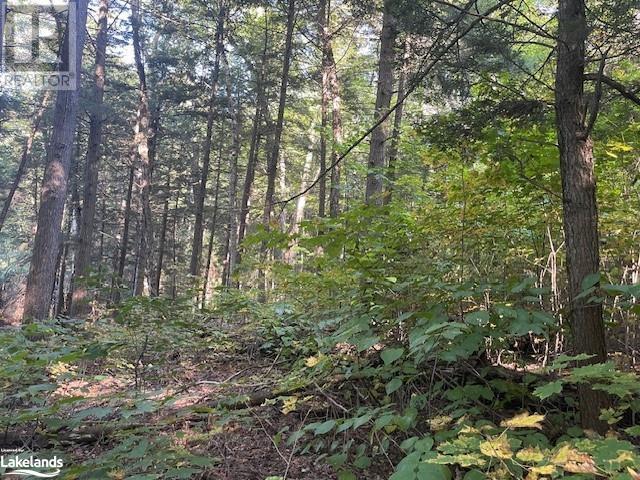 4 Stone Gate Lane, Bracebridge (Draper), Ontario  P1L 1X3 - Photo 6 - X10895810