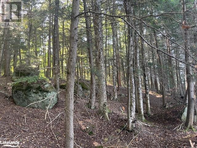 4 Stone Gate Lane, Bracebridge (Draper), Ontario  P1L 1X3 - Photo 3 - X10895810