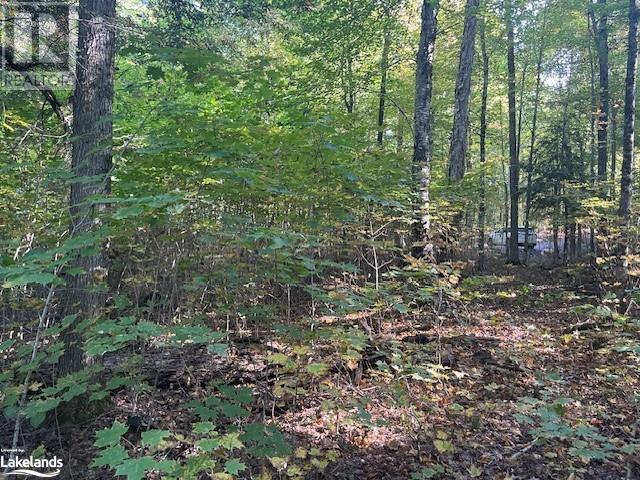 4 Stone Gate Lane, Bracebridge (Draper), Ontario  P1L 1X3 - Photo 7 - X10895810