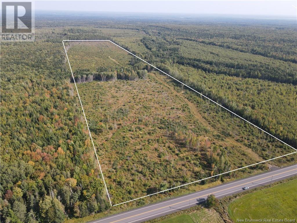 Property at Lot Route 10 image 3