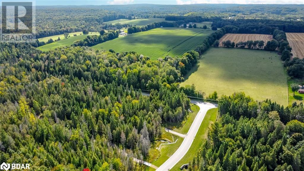 Lot 3 Line 8 N, Oro-Medonte, Ontario  L0K 1N0 - Photo 11 - 40645817