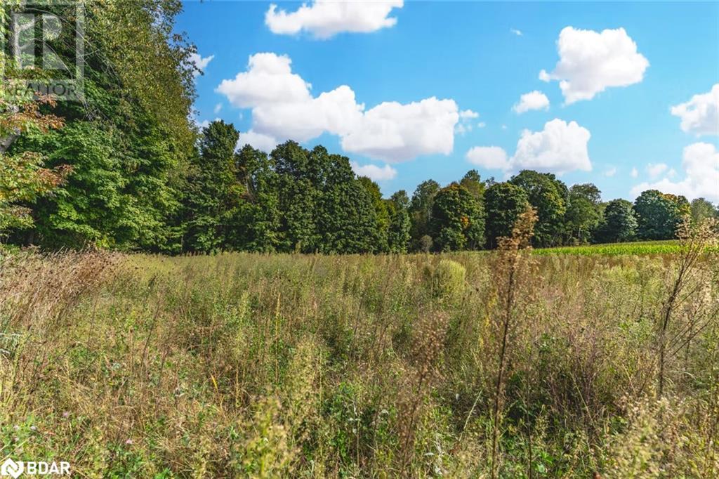 Lot 3 Line 8 N, Oro-Medonte, Ontario  L0K 1N0 - Photo 6 - 40645817