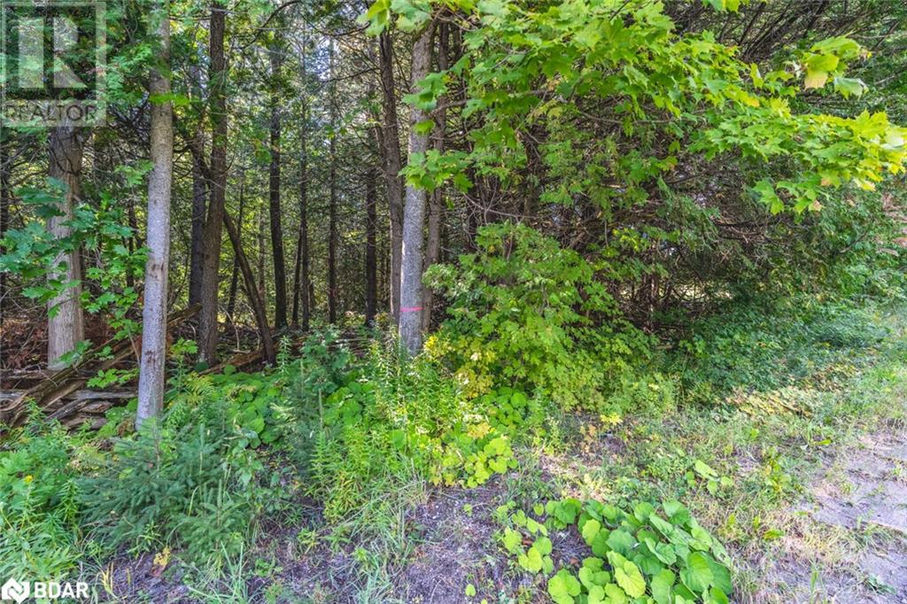 Lot 3 Line 8 N, Oro-Medonte, Ontario  L0K 1N0 - Photo 7 - 40645817