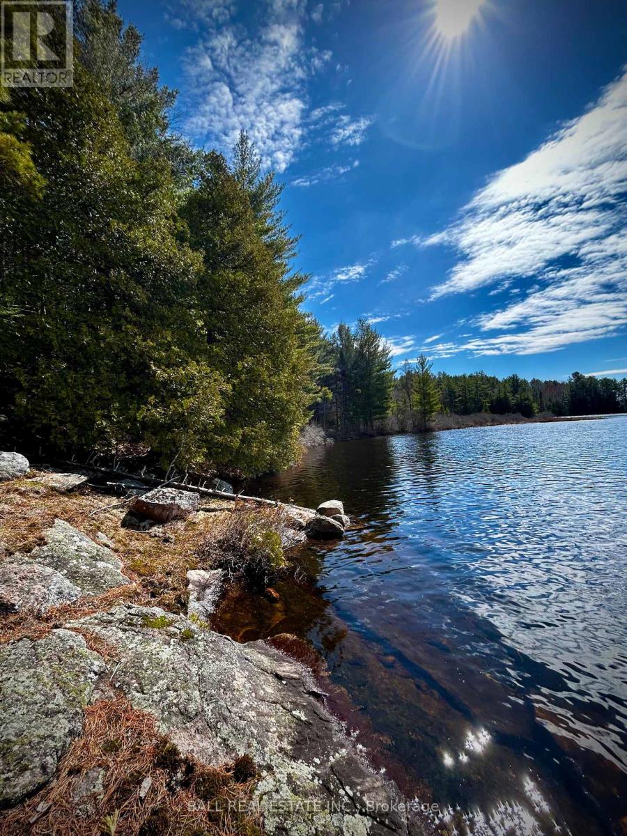 Lot 15 Con 15, Highlands East, Ontario  K0L 2A0 - Photo 15 - X9359765