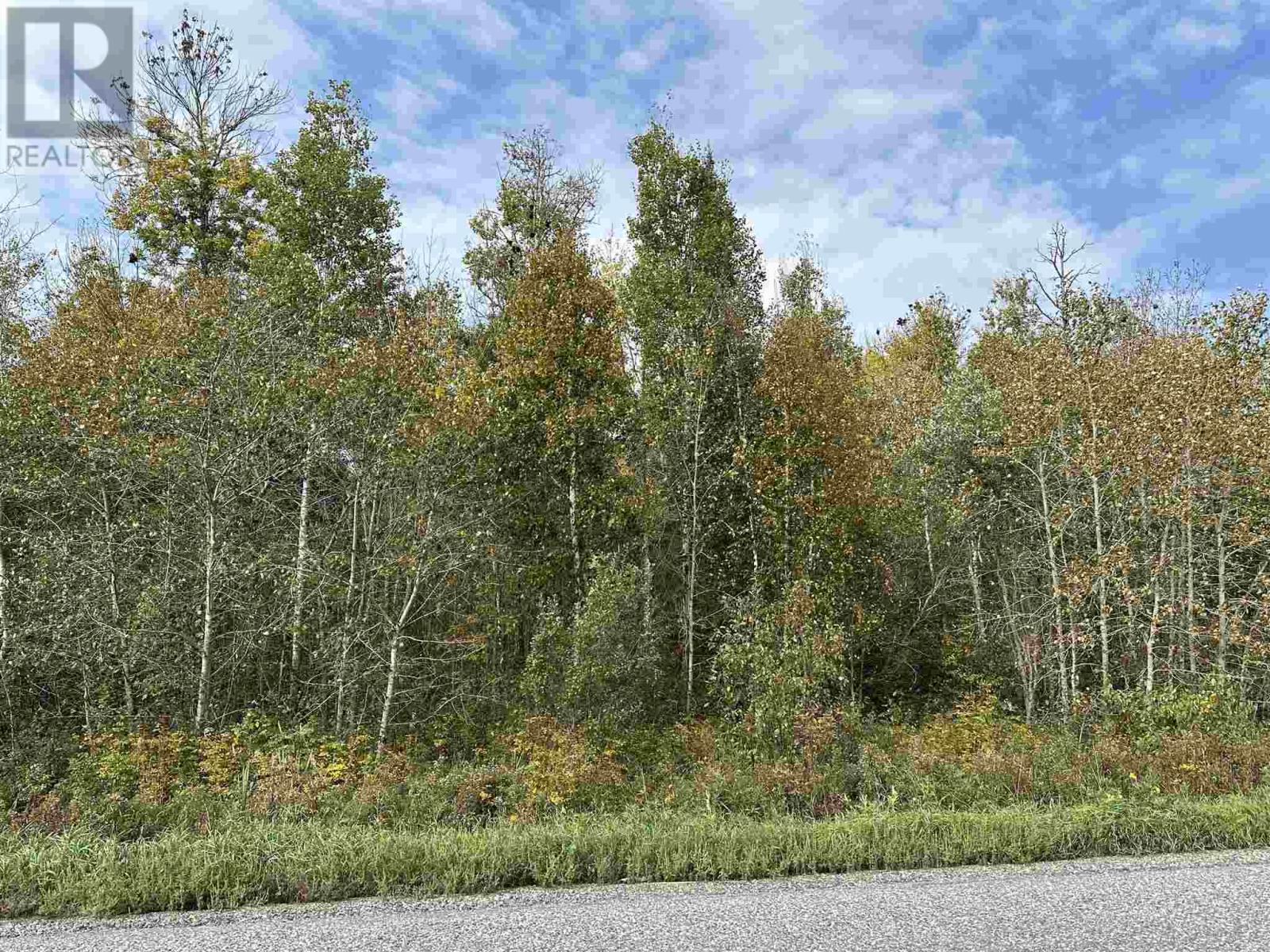 Part 2 Lots 25&26, 48r4578, Fort Frances, Ontario  P9A 3M2 - Photo 1 - TB232944