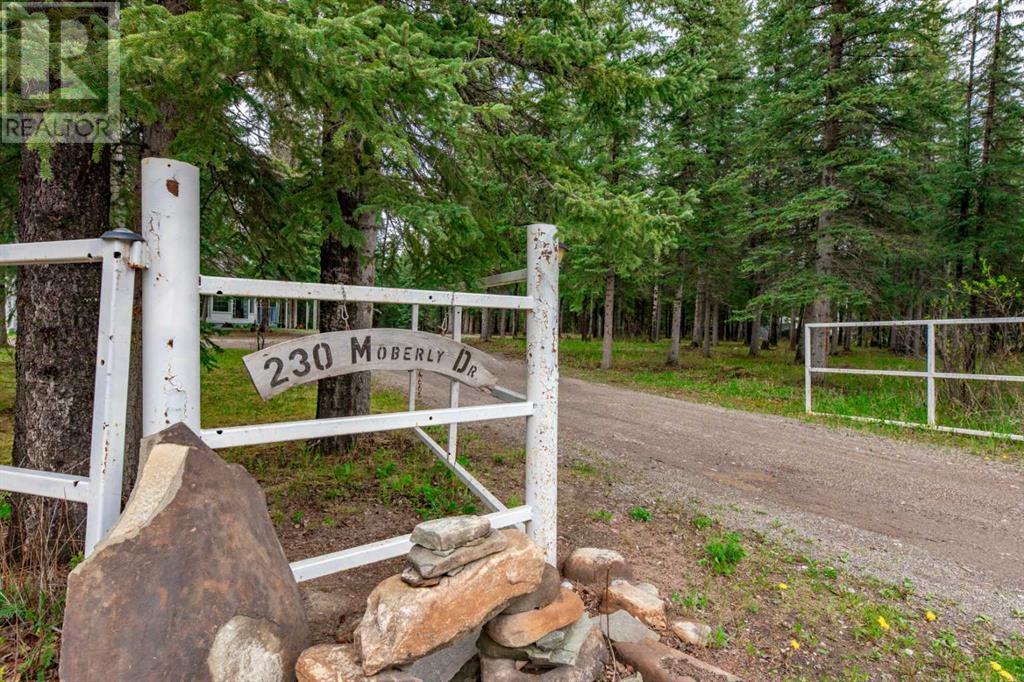 230 Moberly Drive, Hinton, Alberta  T7V 1Z1 - Photo 43 - A2134808