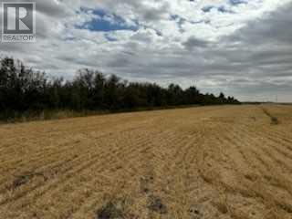 Range Road 280, Rural Rocky View County, Alberta  T4A 1J3 - Photo 2 - A2163168