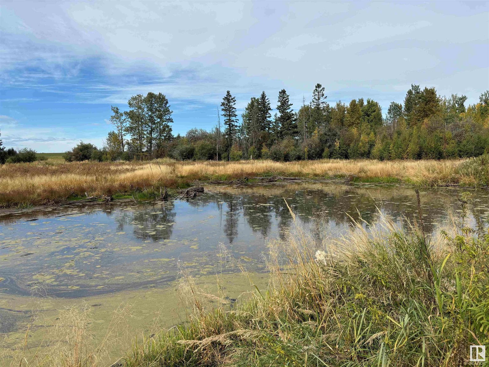 47516 Rge Rd 53, Rural Brazeau County, Alberta  T0C 0P0 - Photo 10 - E4407241