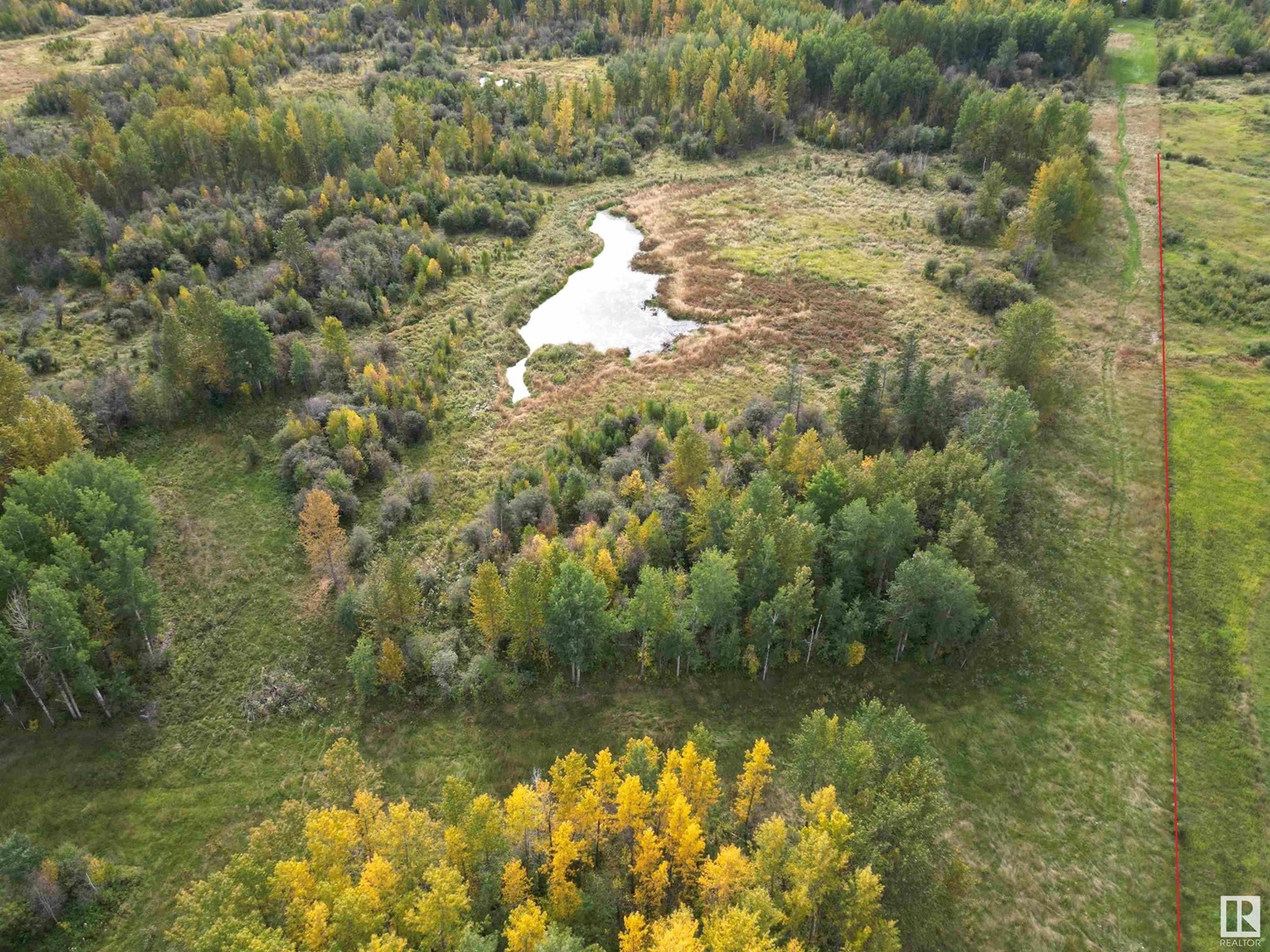 47516 Rge Rd 53, Rural Brazeau County, Alberta  T0C 0P0 - Photo 4 - E4407241