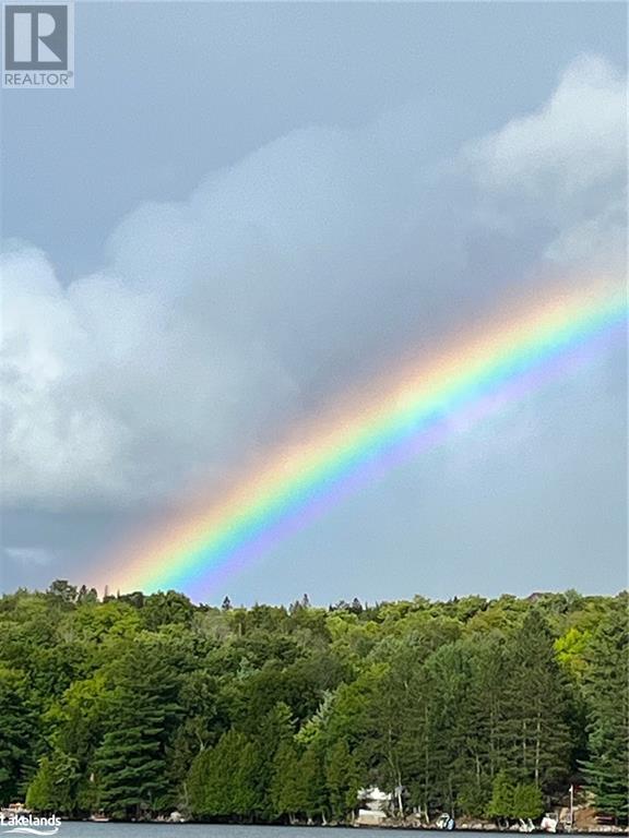 1433 South Horn Lake Road, Ryerson, Ontario  P0A 1C0 - Photo 27 - 40632748