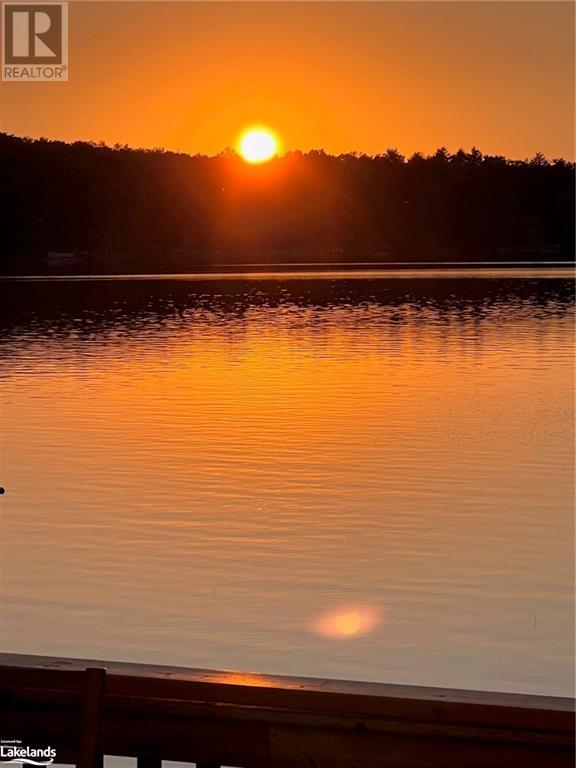 1433 South Horn Lake Road, Ryerson, Ontario  P0A 1C0 - Photo 46 - 40632748