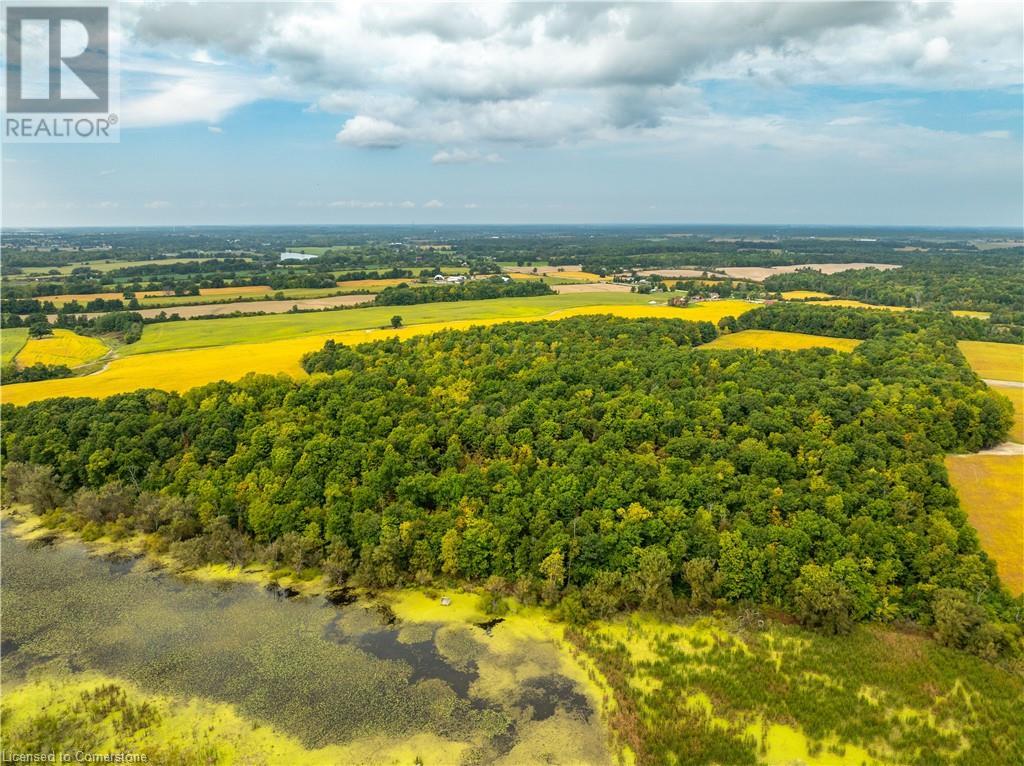 1951 Haldimand Road 17, Cayuga, Ontario  N1A 1E0 - Photo 16 - 40650746