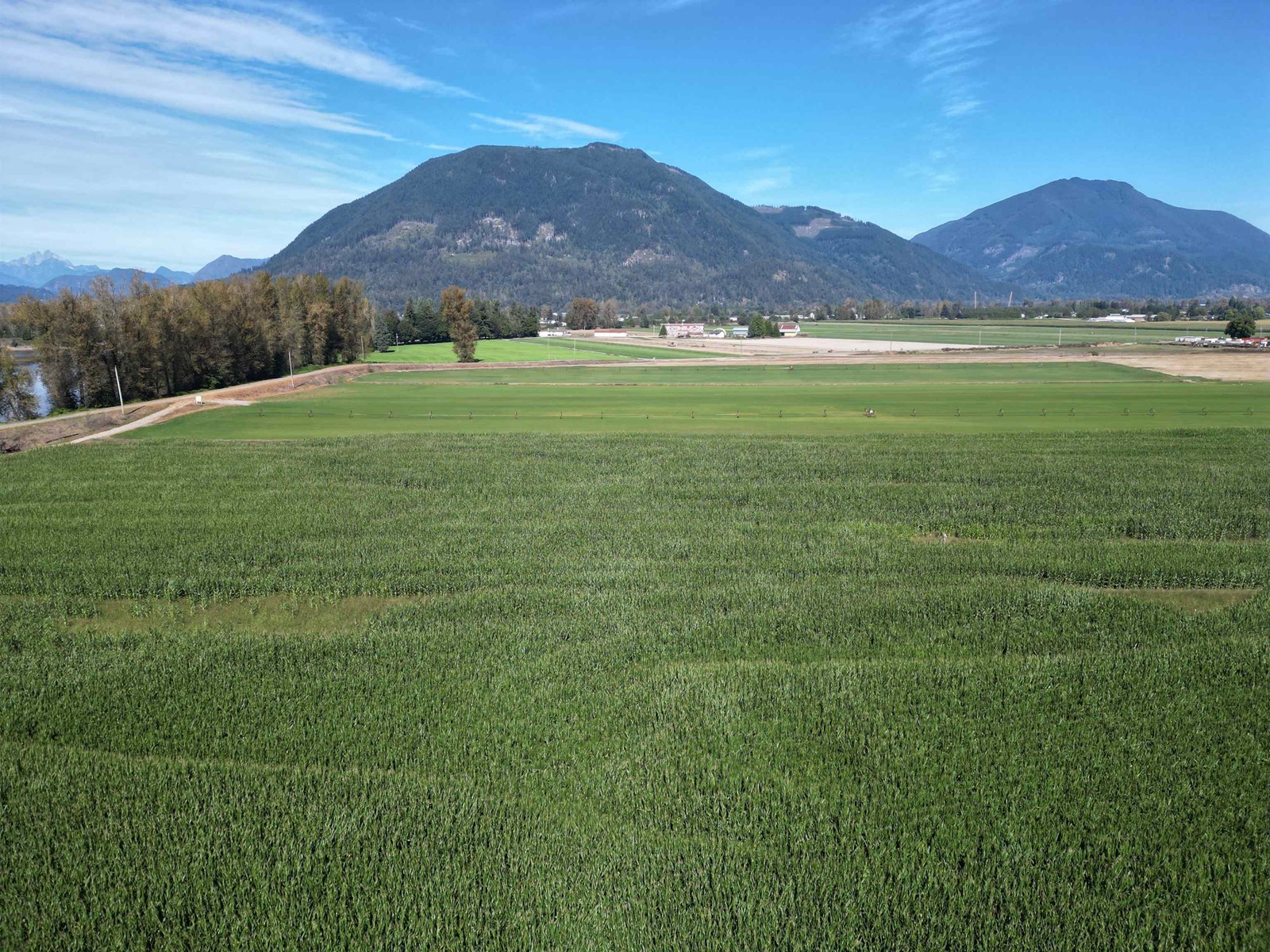 103ac Hyde Buker Road, Mission, British Columbia  V0M 1H0 - Photo 5 - R2867574