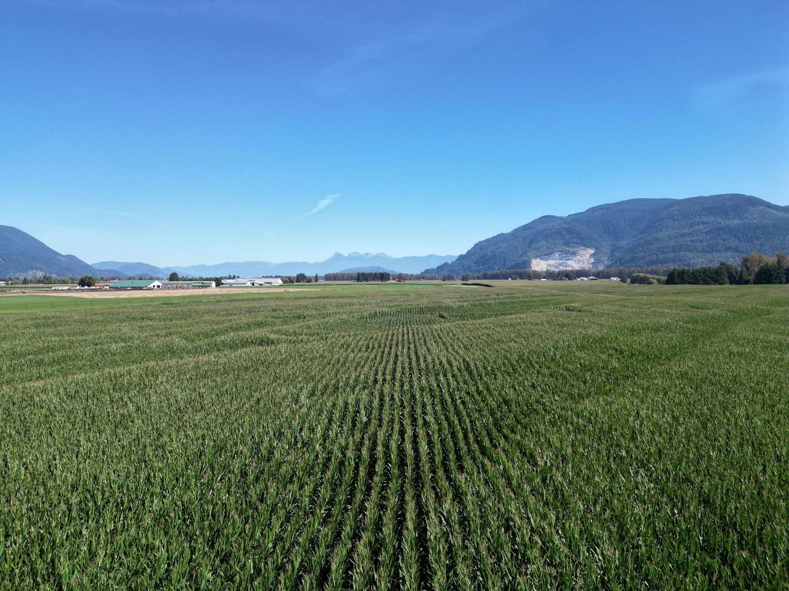 103ac Hyde Buker Road, Mission, British Columbia  V0M 1H0 - Photo 2 - R2867574
