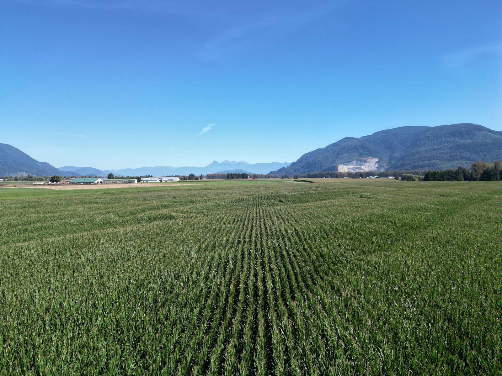 49ac Hyde Buker Road, Mission, British Columbia  V0M 1H0 - Photo 6 - R2867579