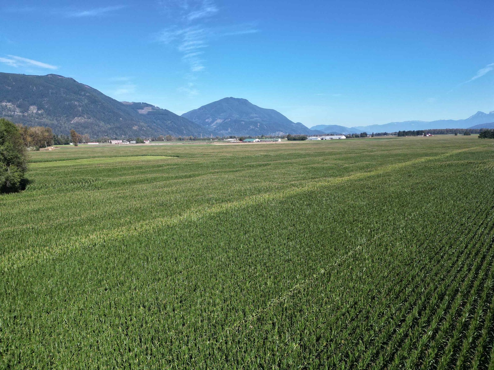 49ac Hyde Buker Road, Mission, British Columbia  V0M 1H0 - Photo 10 - R2867579