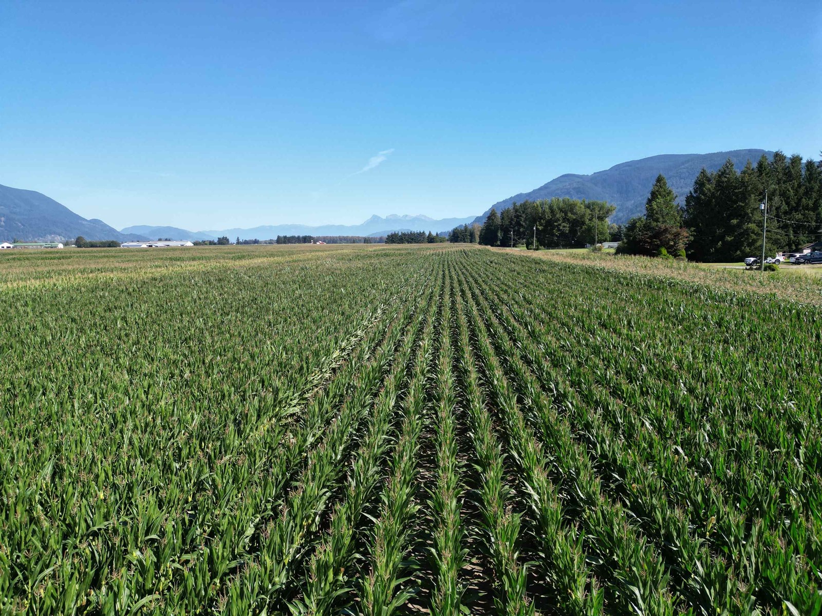 49ac Hyde Buker Road, Mission, British Columbia  V0M 1H0 - Photo 11 - R2867579