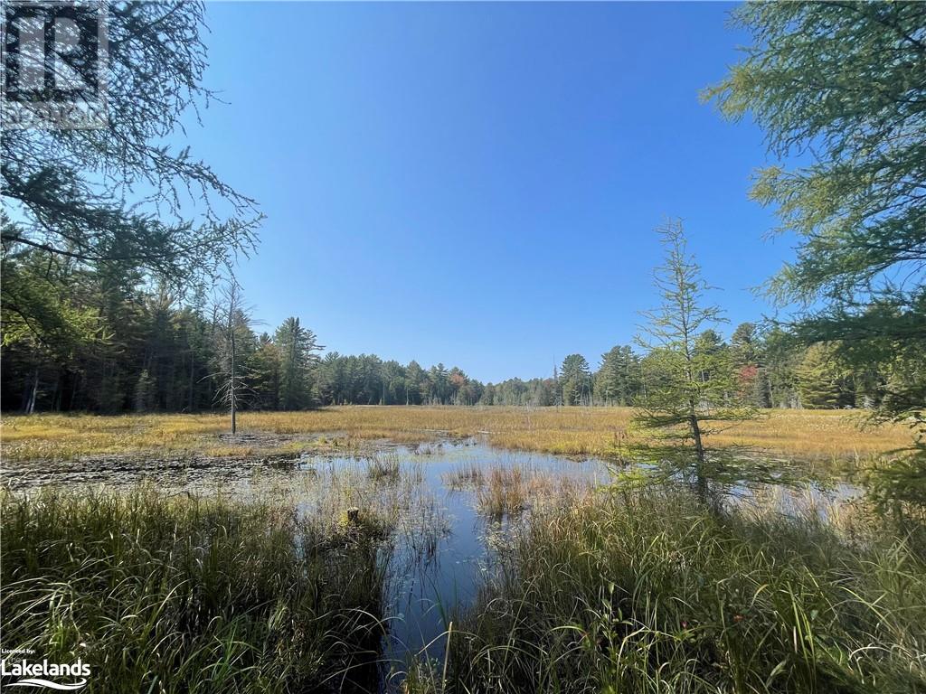 1339 Peterson Road, Bracebridge, Ontario  P1L 1X1 - Photo 1 - 40647771