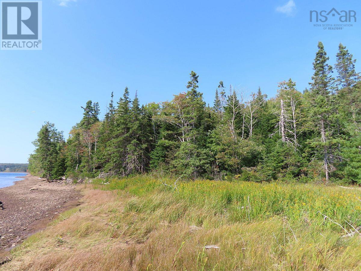 Lot 5 Basin Road, Evanston, Nova Scotia  B0E 1J0 - Photo 6 - 202422890