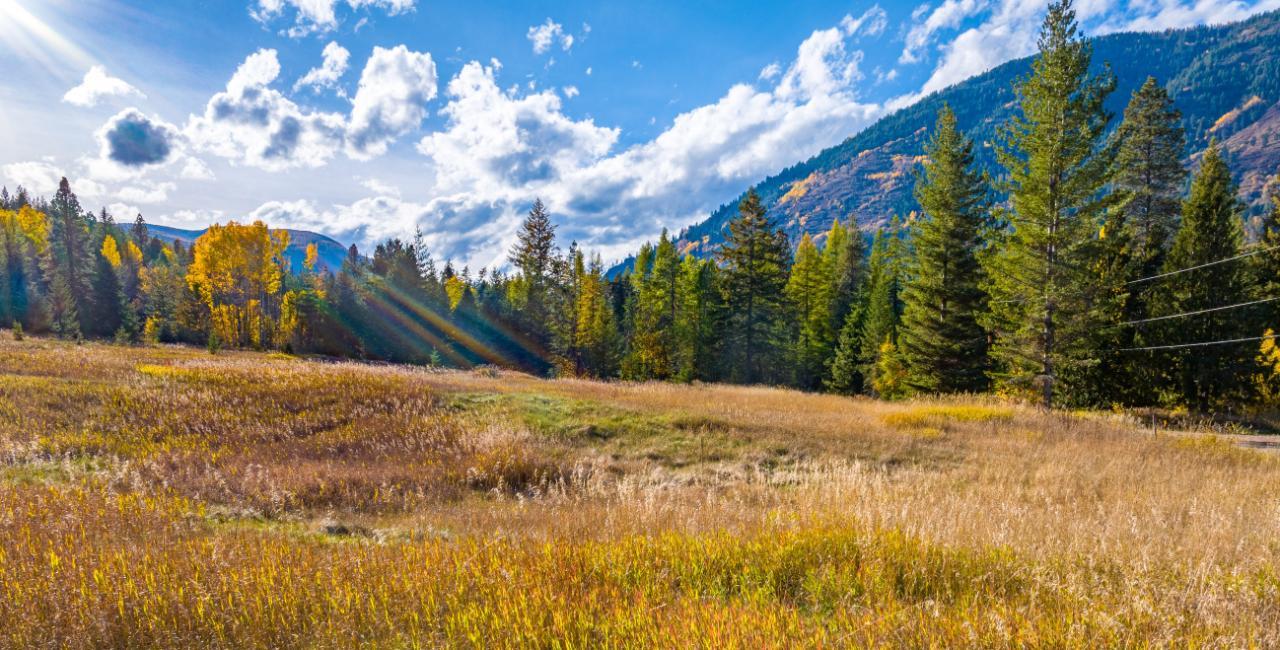 Lot 2 Corn Creek Road, Creston, British Columbia V0b 1G7 - Photo 1 - 2479702