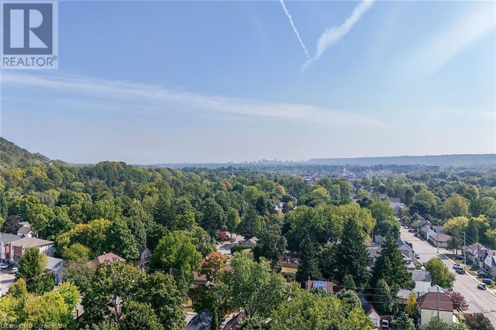 347 Hatt Street W, Dundas, Ontario  L9H 2J2 - Photo 50 - 40651117