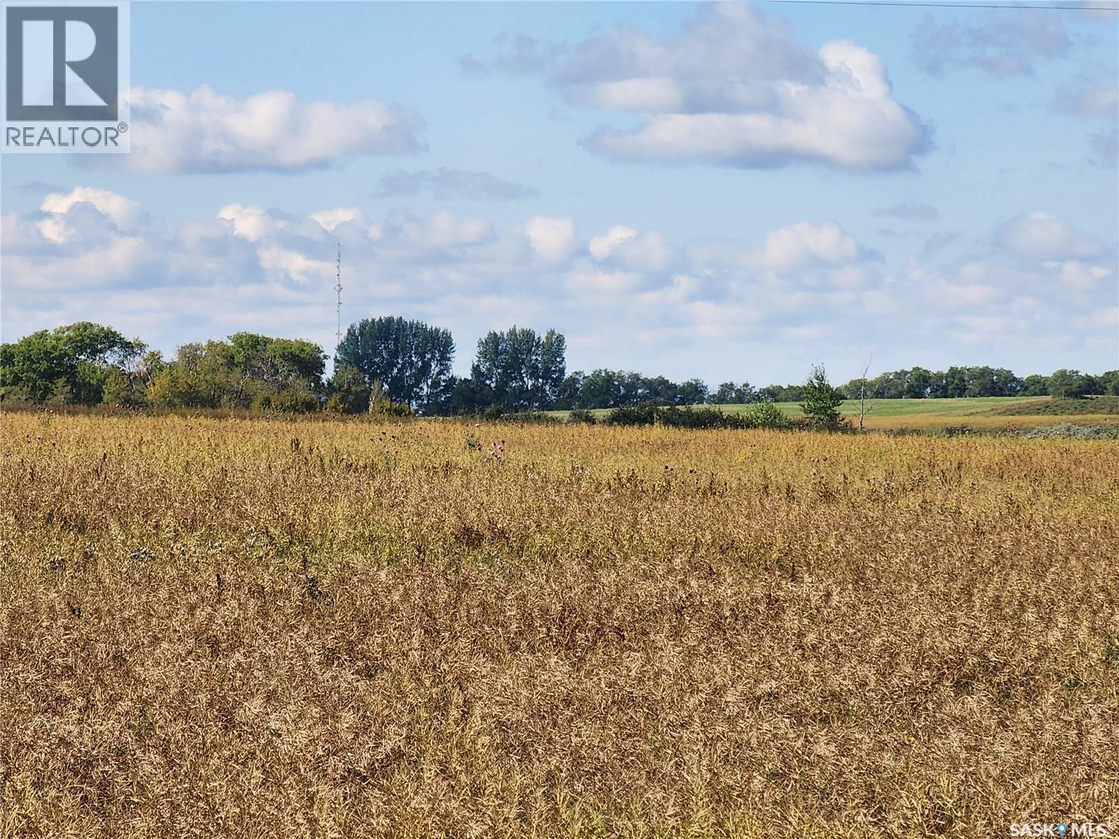 70 Acre Build Site Ne, Corman Park Rm No. 344, Saskatchewan S7J 2J9 - Photo 11 - SK984328