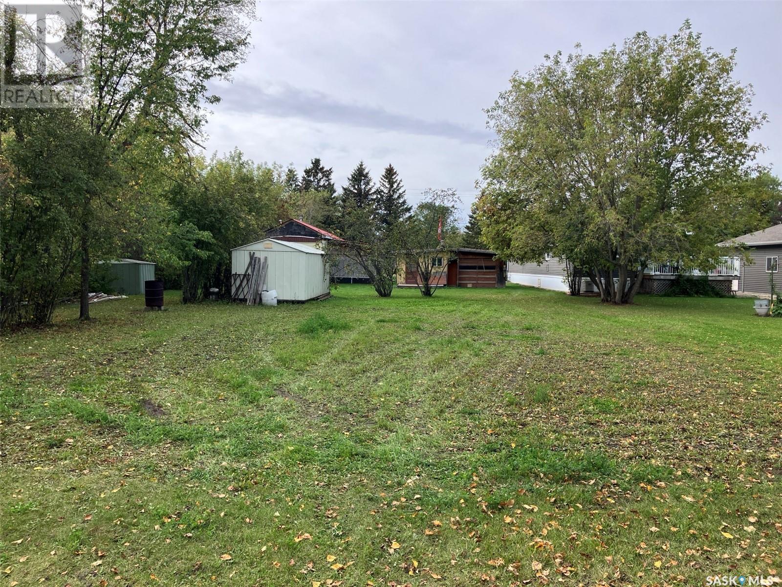 520 Parkdale Street, Carrot River, Saskatchewan  S0E 0L0 - Photo 6 - SK984348