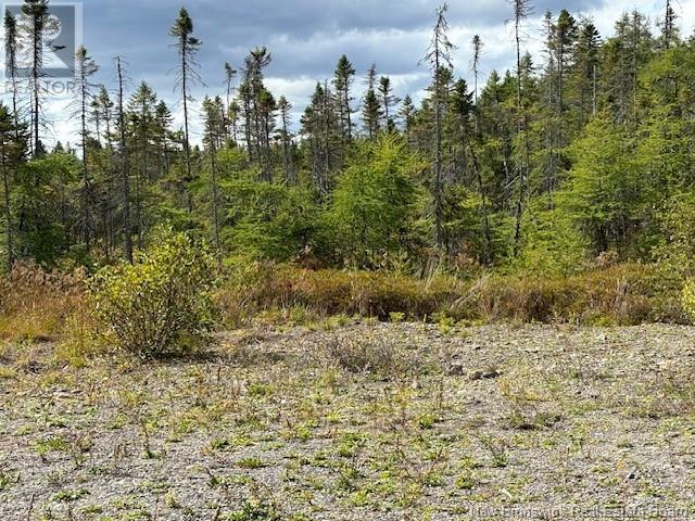 454 St. Martin's Road, Saint John, New Brunswick  E2S 1E4 - Photo 11 - NB106507