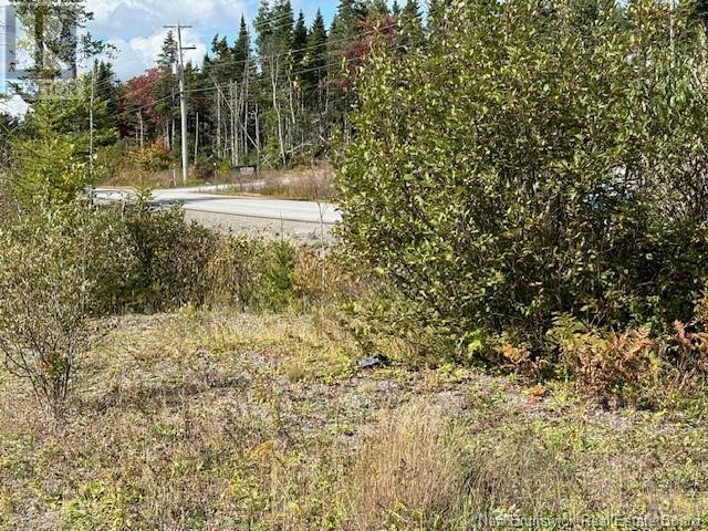 454 St. Martin's Road, Saint John, New Brunswick  E2S 1E4 - Photo 12 - NB106507