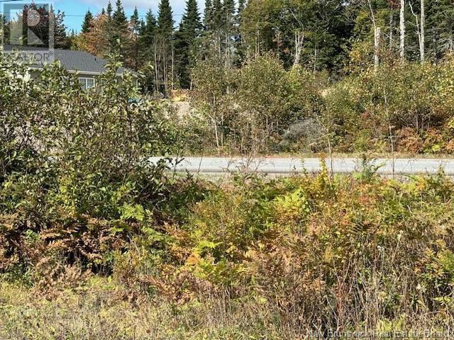 454 St. Martin's Road, Saint John, New Brunswick  E2S 1E4 - Photo 7 - NB106507